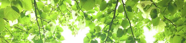 クック071HIF☆'s header image
