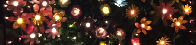 naochoru's header image