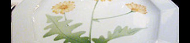 モアイLP's header image