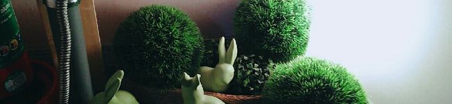 けいと先輩's header image