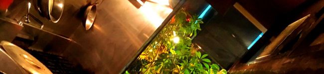 キッチンKF's header image