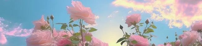 美華月's header image