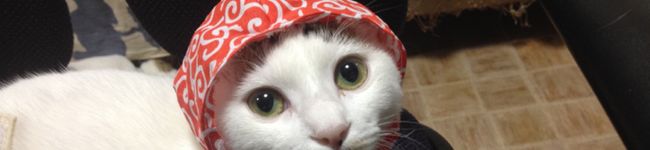 小倉のかじむー's header image