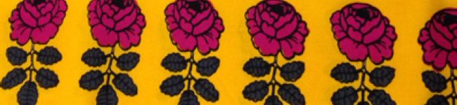 ♪細美's header image