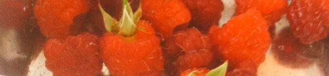 ズボラ主婦dai's header image