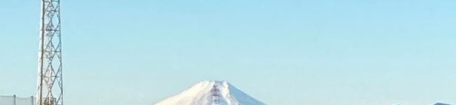 さや's header image
