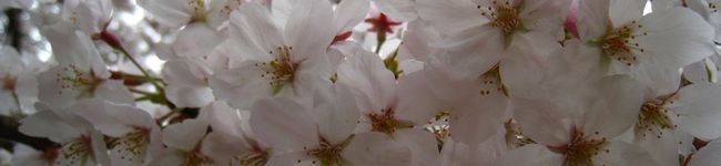 jun28's header image