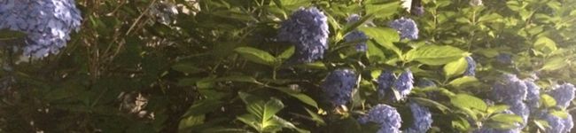 栄養士のひよこ∞'s header image