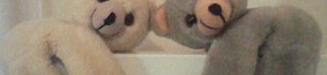 ekomegu's header image