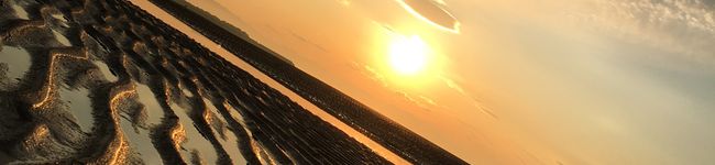 米粒Love's header image