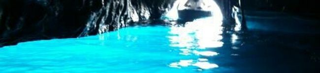 428mama's header image