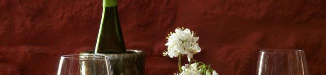 CupOfTea's header image