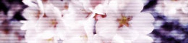 yuka714's header image