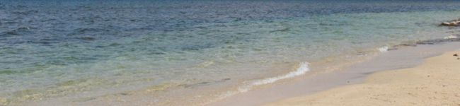 alice57's header image