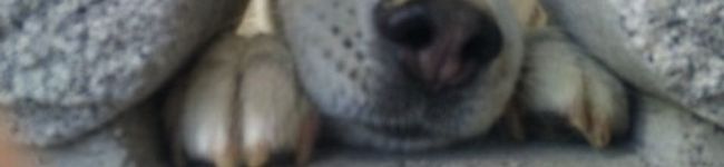 満腹なお♪'s header image