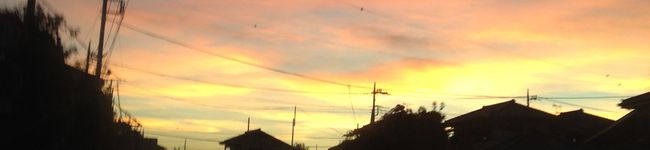 ずぼらmaーn's header image