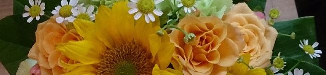k☆tama☆'s header image