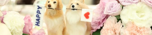 モモ828's header image
