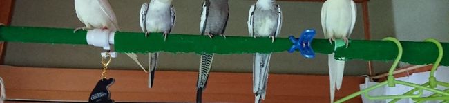 yumihide75's header image