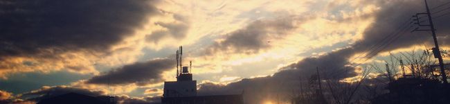 夜中のコック's header image
