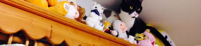 ◎ちぃ's header image