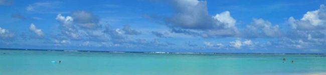 シラド食堂's header image