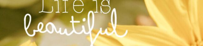 megumilk＊°'s header image