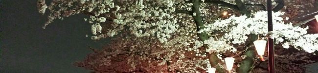 ouchi58n's header image