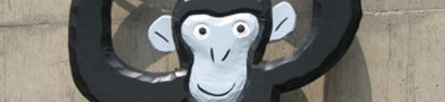 mamidoraq's header image