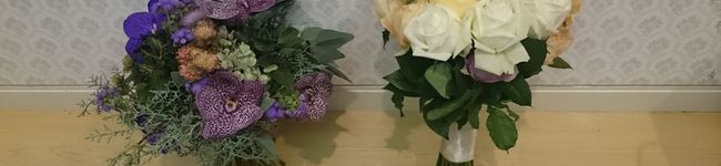 yupaとmima's header image