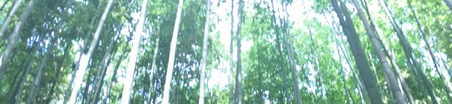 きょーと⋆｡˚✩'s header image