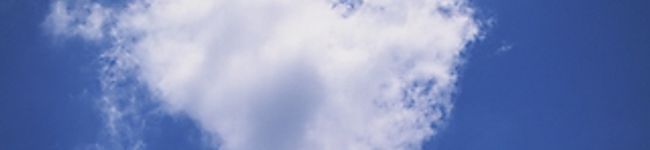 ぼーじょぼー's header image