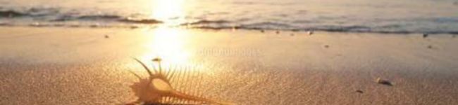 flowercafe's header image