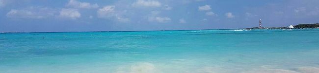 SAsunny's header image