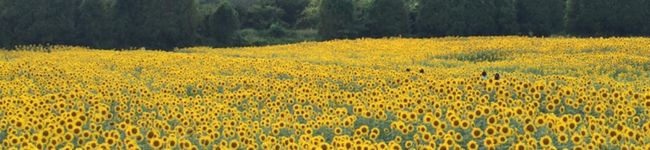 Na73mi_'s header image