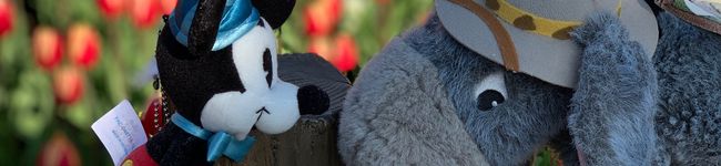 eeyore0614's header image