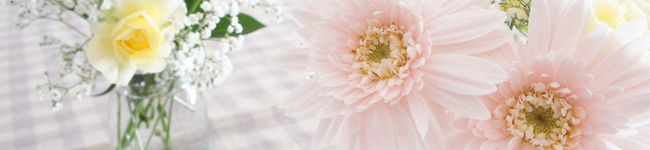 minkaママ's header image