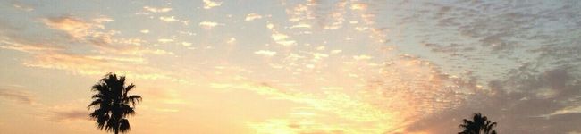 KGC子's header image