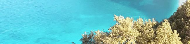 Pantel's header image
