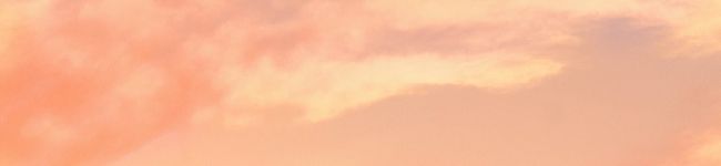 syakami33's header image