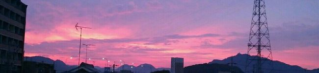 nepisco's header image