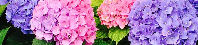 のえ22614's header image