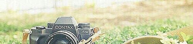 ＋なつシオ＋'s header image
