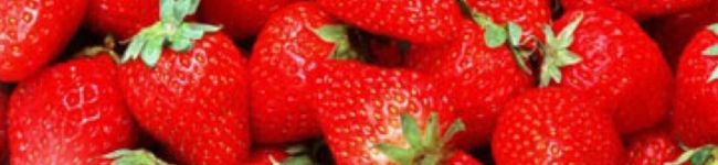 maanyannn's header image