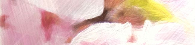 青維❁'s header image