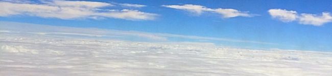 ザビたん's header image