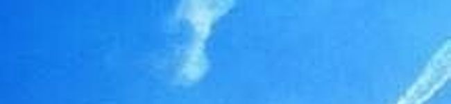 koko音's header image