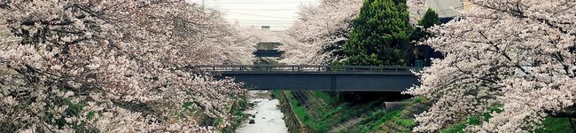 びあおく's header image