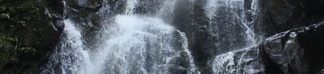Soman1007's header image