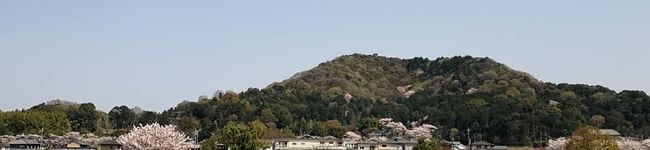 sachopon's header image